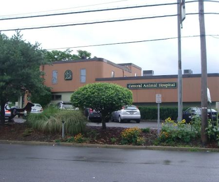 Central Animal Hospital