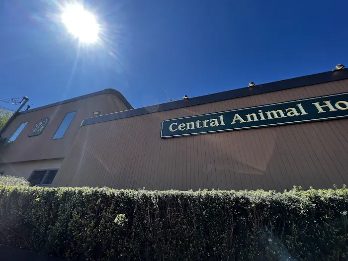 Central Animal Hospital Picture 7