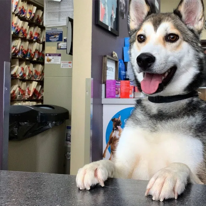 County Animal Clinic Picture 1