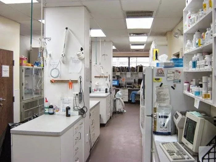County Animal Clinic Picture 7