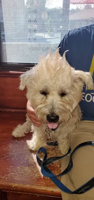 Tuckahoe Animal Hospital & Pet Center Picture 6