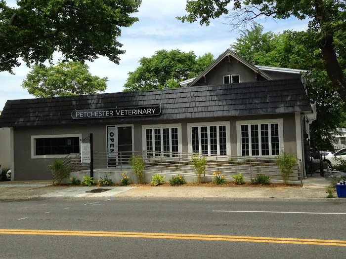 Petchester Veterinary Picture 10