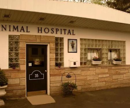 Animal Health Care PC