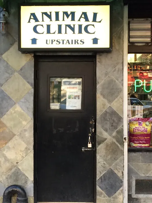 Ideal Pet Veterinary Clinic Picture 2