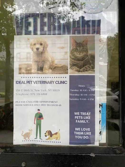 Ideal Pet Veterinary Clinic Picture 6