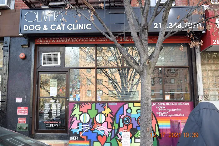 Oliver's Dog & Cat Clinic Picture 6