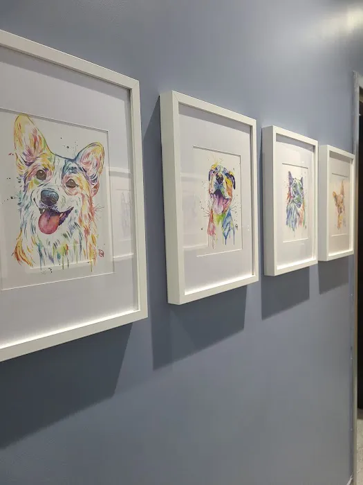 Oliver's Dog & Cat Clinic Picture 8
