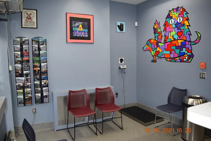 Oliver's Dog & Cat Clinic Picture 10