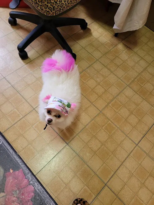 Tri-Boro Animal Hospital Picture 3