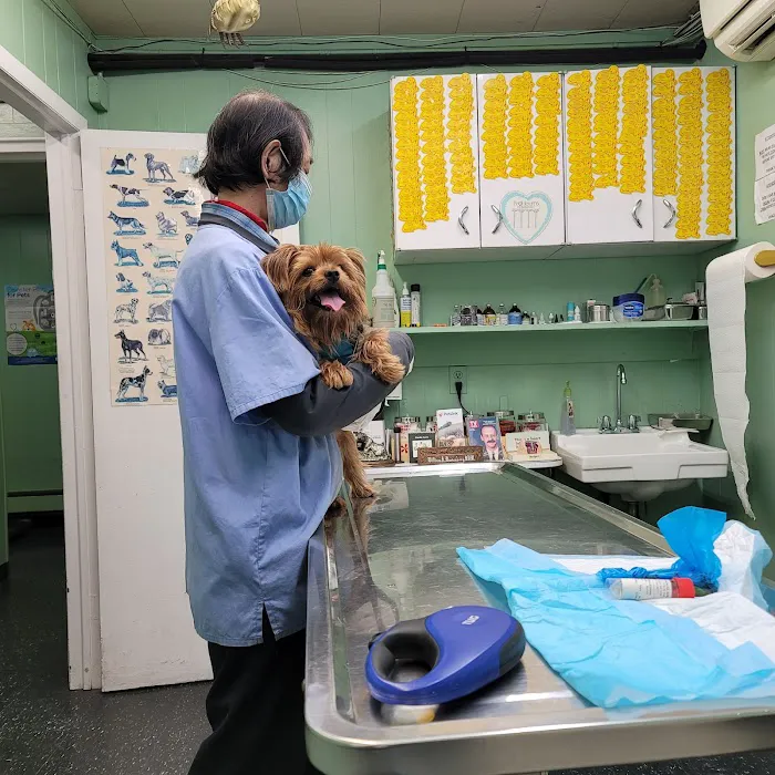 Tri-Boro Animal Hospital Picture 6