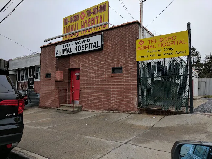 Bronx Animal Hospital / Bronx Vet Center Picture 4