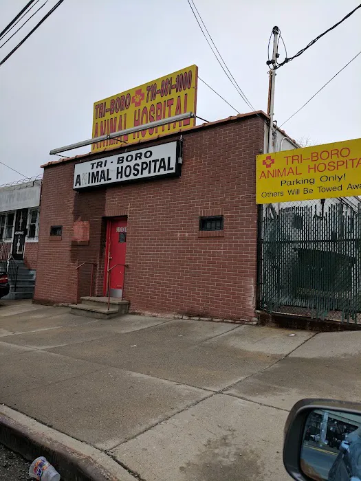 Bronx Animal Hospital / Bronx Vet Center Picture 5
