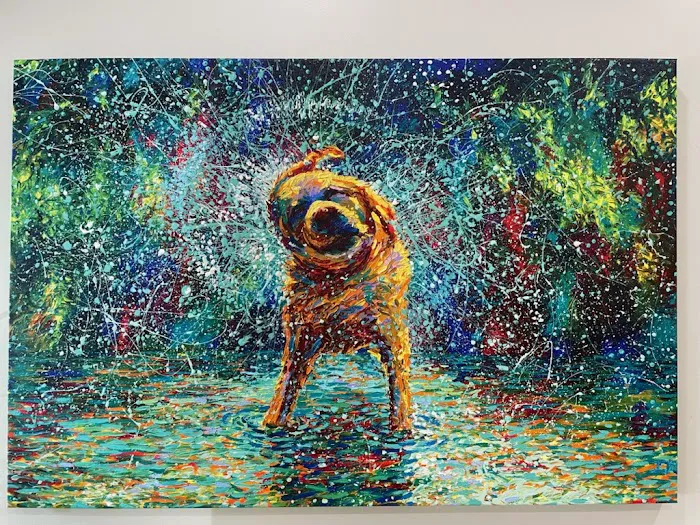 Uptown Paws Veterinary Clinic Picture 7