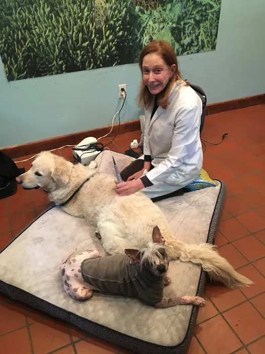 Dr. Babette Gladstein, VMD Picture 6