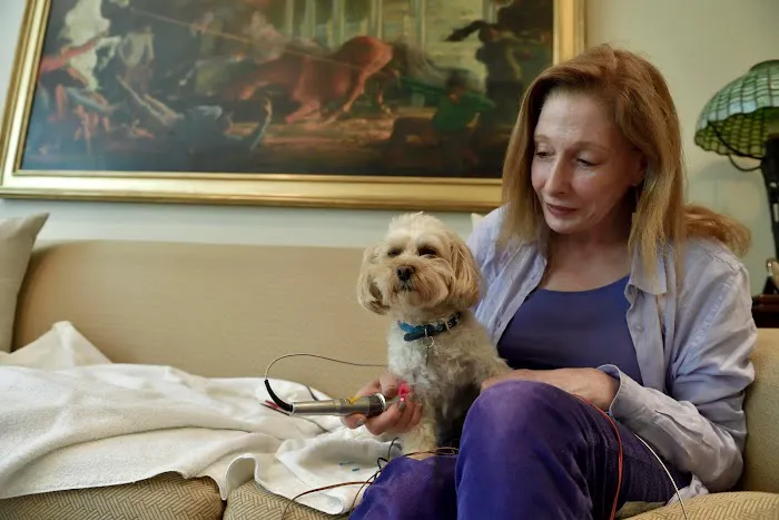 Dr. Babette Gladstein, VMD Picture 5