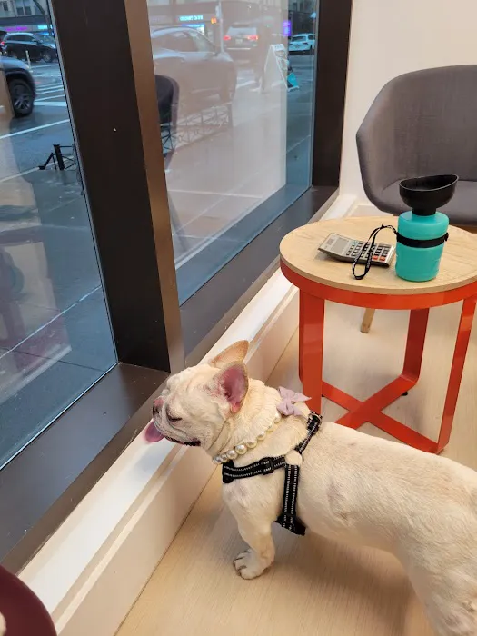Small Door Veterinary - Upper East Side Picture 7