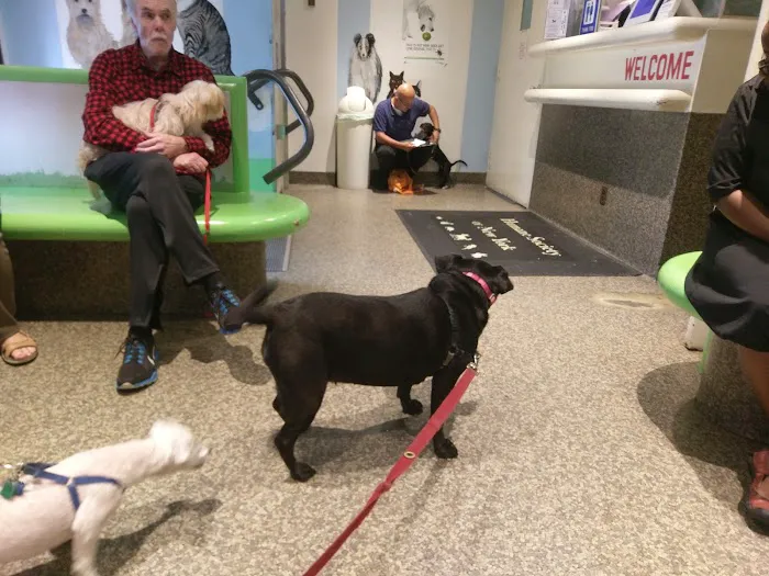 The Humane Society of New York Picture 7