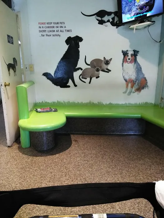 The Humane Society of New York Picture 10