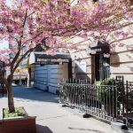 University Animal Hospital