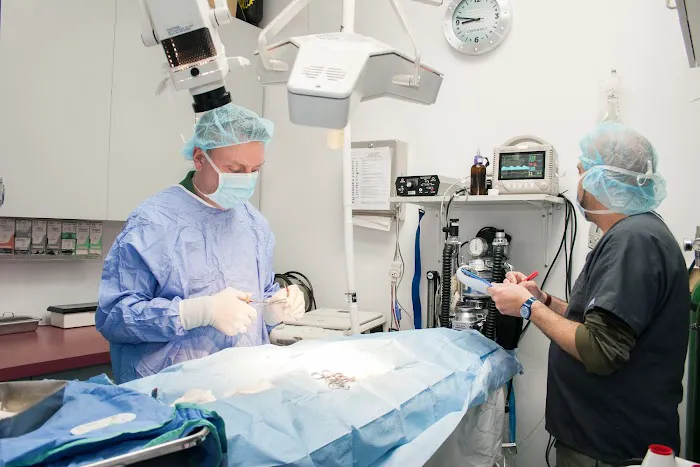 University Animal Hospital Picture 7
