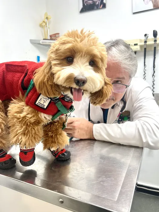 University Animal Hospital Picture 6