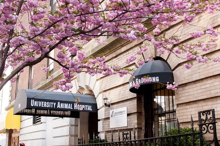 University Animal Hospital Picture 9