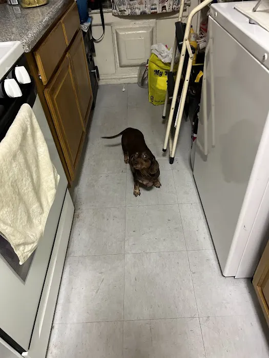 Scarsdale Animal Hospital Picture 2