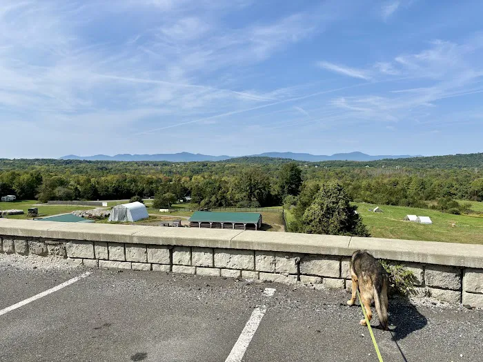 Mountainview Animal Hospital Picture 9