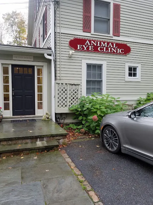Animal Eye Clinic Wilton Picture 9