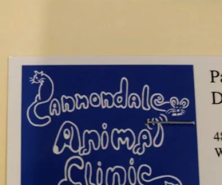 Cannondale Animal Clinic