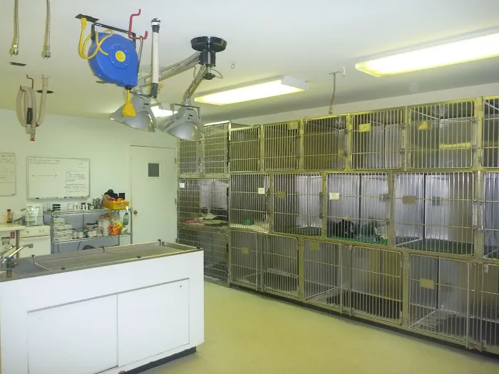 Bedford Greenwich Animal Hospital Picture 9