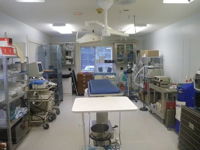 Bedford Greenwich Animal Hospital Picture 10