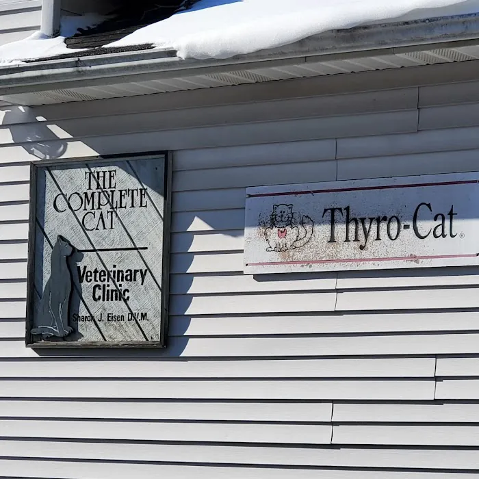 Complete Cat Veterinary Clinic Picture 1