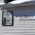 Complete Cat Veterinary Clinic