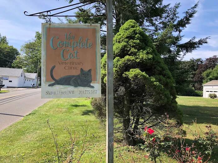 Complete Cat Veterinary Clinic Picture 7