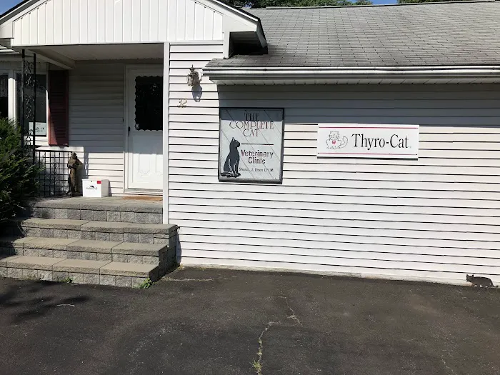 Complete Cat Veterinary Clinic Picture 8