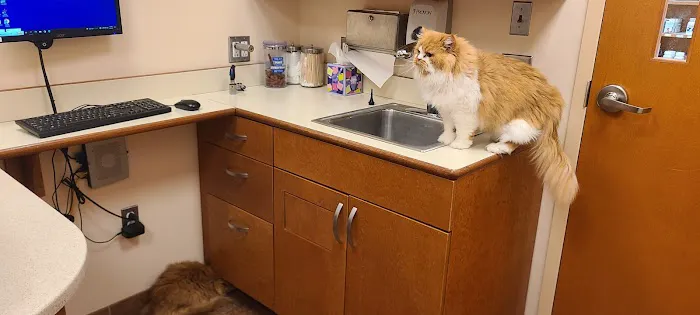 Brookfield Animal Hospital Picture 2