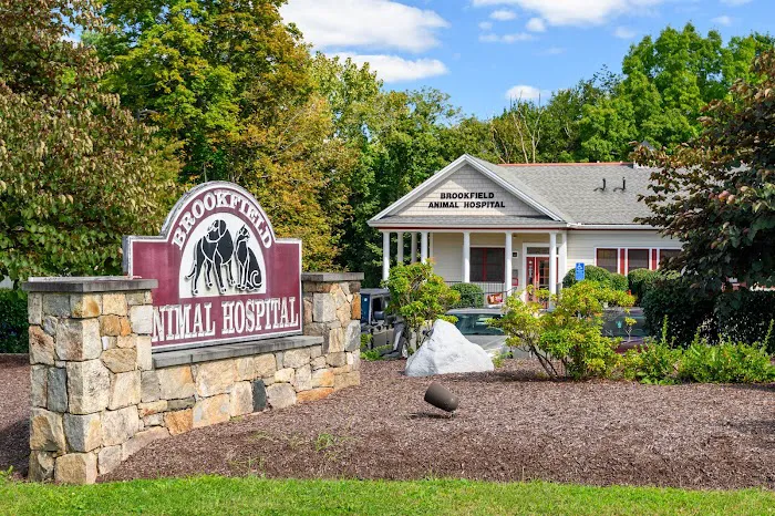Brookfield Animal Hospital Picture 10