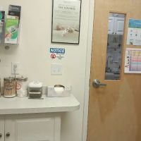 Cat Clinic Feline Health Center ico
