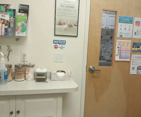 Cat Clinic Feline Health Center