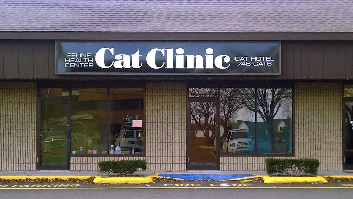 Cat Clinic Feline Health Center Picture 8