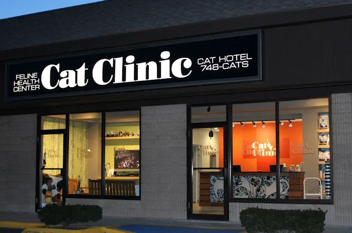 Cat Clinic Feline Health Center Picture 3