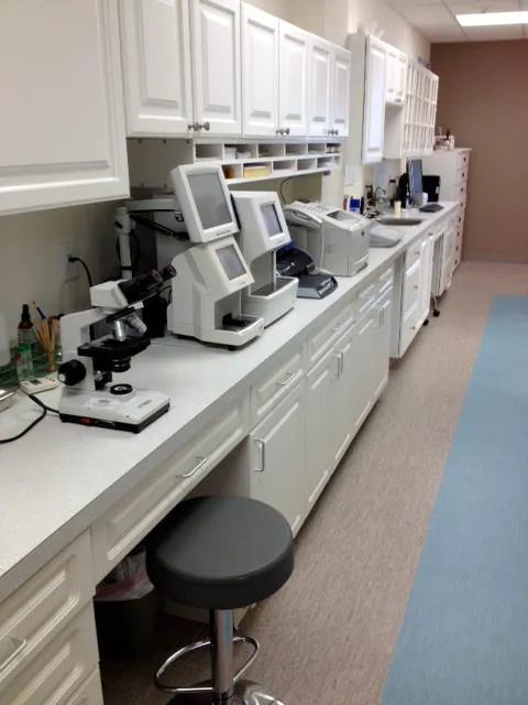 Cat Clinic Feline Health Center Picture 6