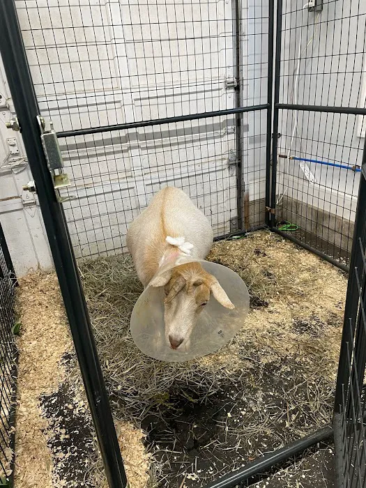 Roxbury Animal Clinic Picture 7