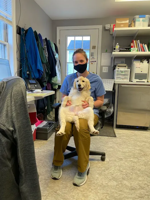 Roxbury Animal Clinic Picture 10