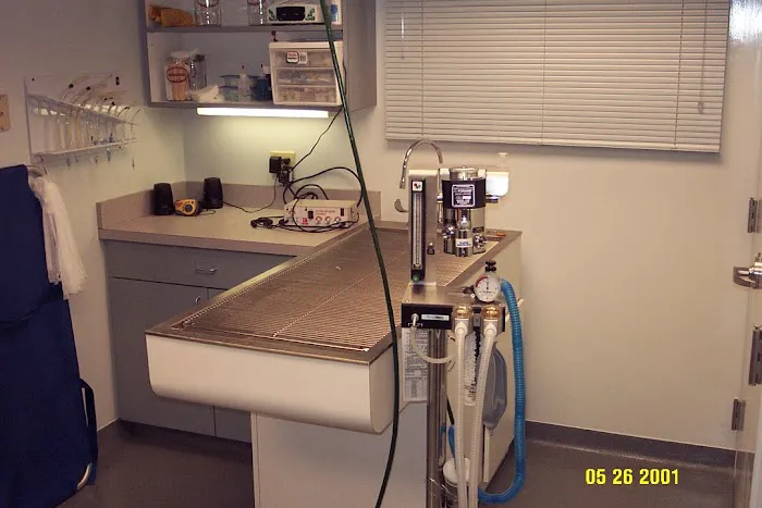 Bradley Hills Animal Hospital Picture 8
