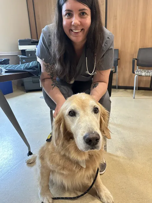 Friendship Hospital For Animals Picture 2