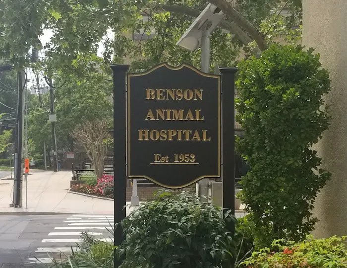 Benson Animal Hospital Picture 9