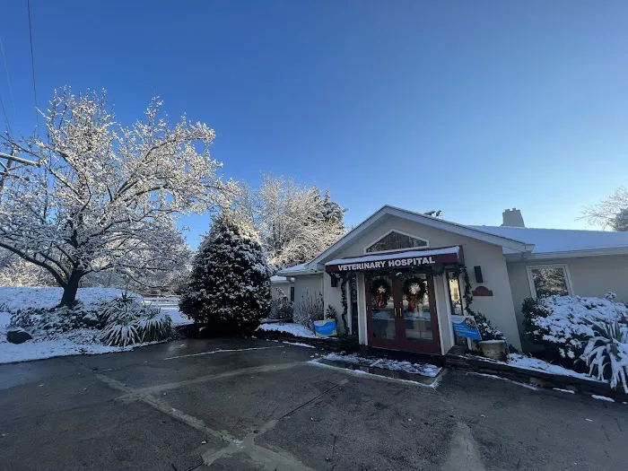 Falls Road Veterinary Hospital, A Thrive Pet Healthcare Partner Picture 6