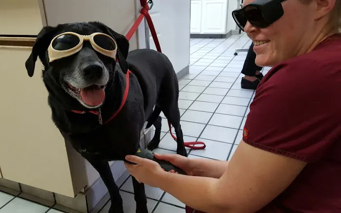 Falls Road Veterinary Hospital, A Thrive Pet Healthcare Partner Picture 8